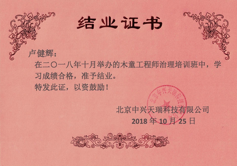 盧建輝-木童工程師檢測與治理服務(wù)高級培訓證書.jpg