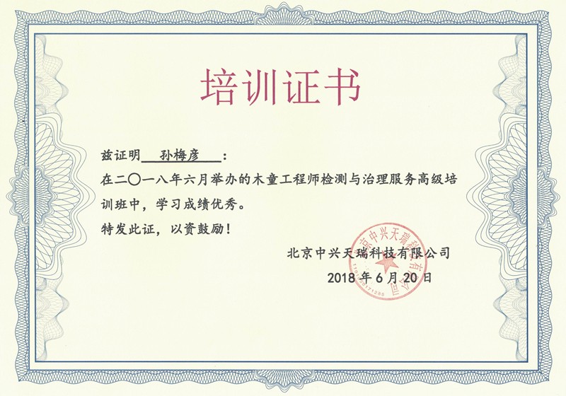 孫梅彥-木童工程師檢測與治理服務高級培訓證書.jpg